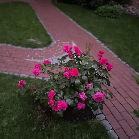 Direkt An Der Schelfkirche Διαμέρισμα *